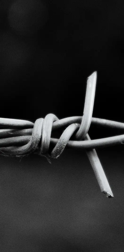 Barbed Wire Bnw Hd