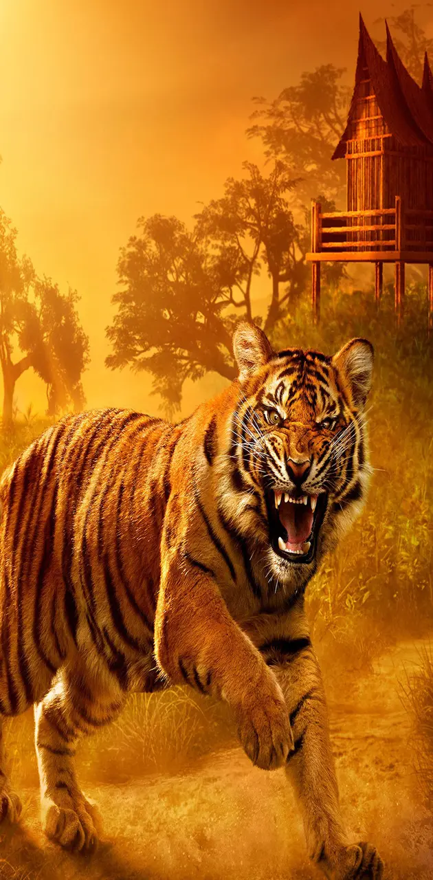 Tiger wallpaper by _Savanna_ - Download on ZEDGE™ | 97d7