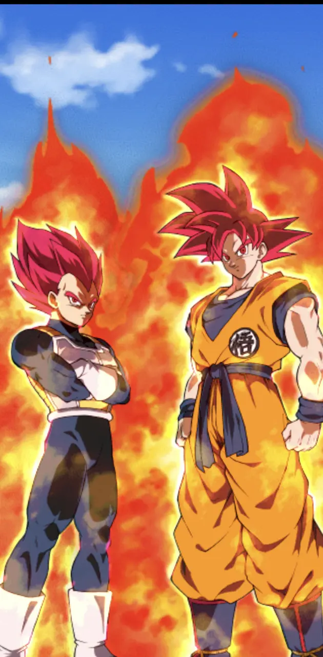 Goku and Vegeta S gods