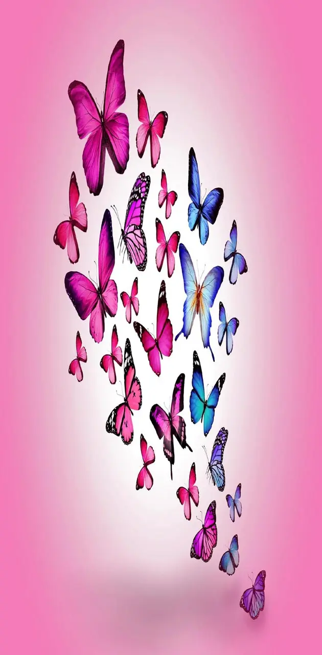 Abstract Butterflies