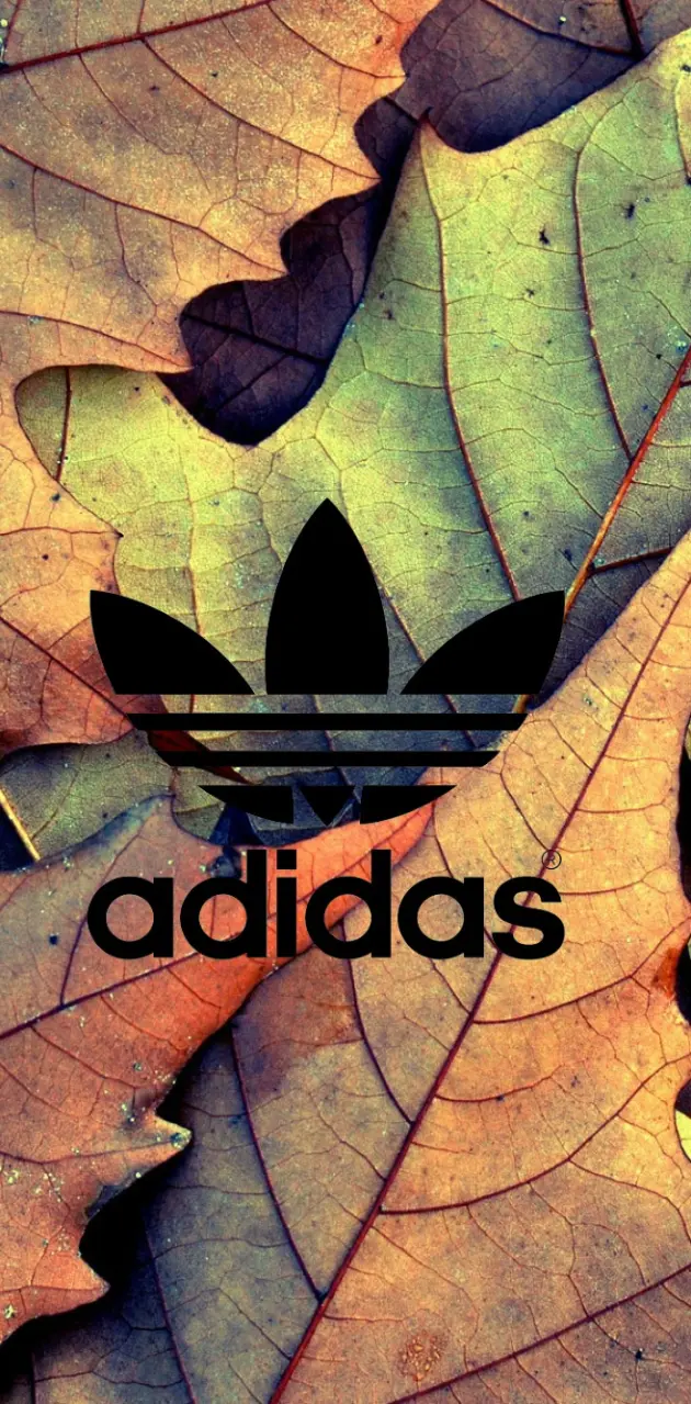 Autumn Adidas