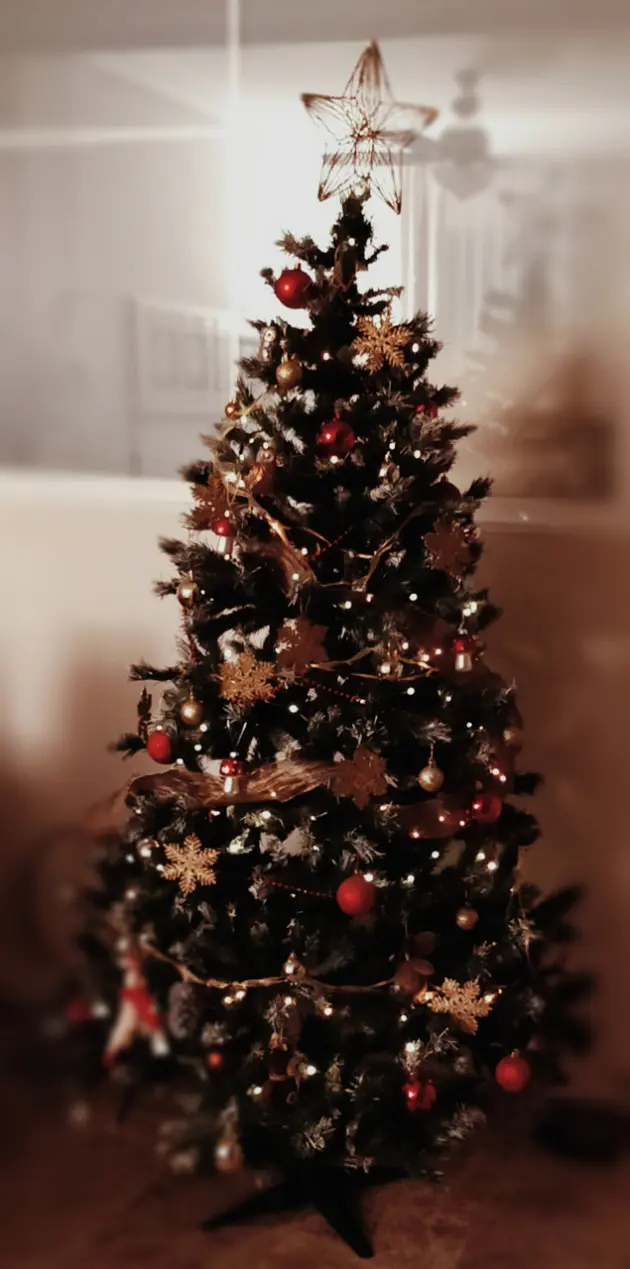 Christmast tree