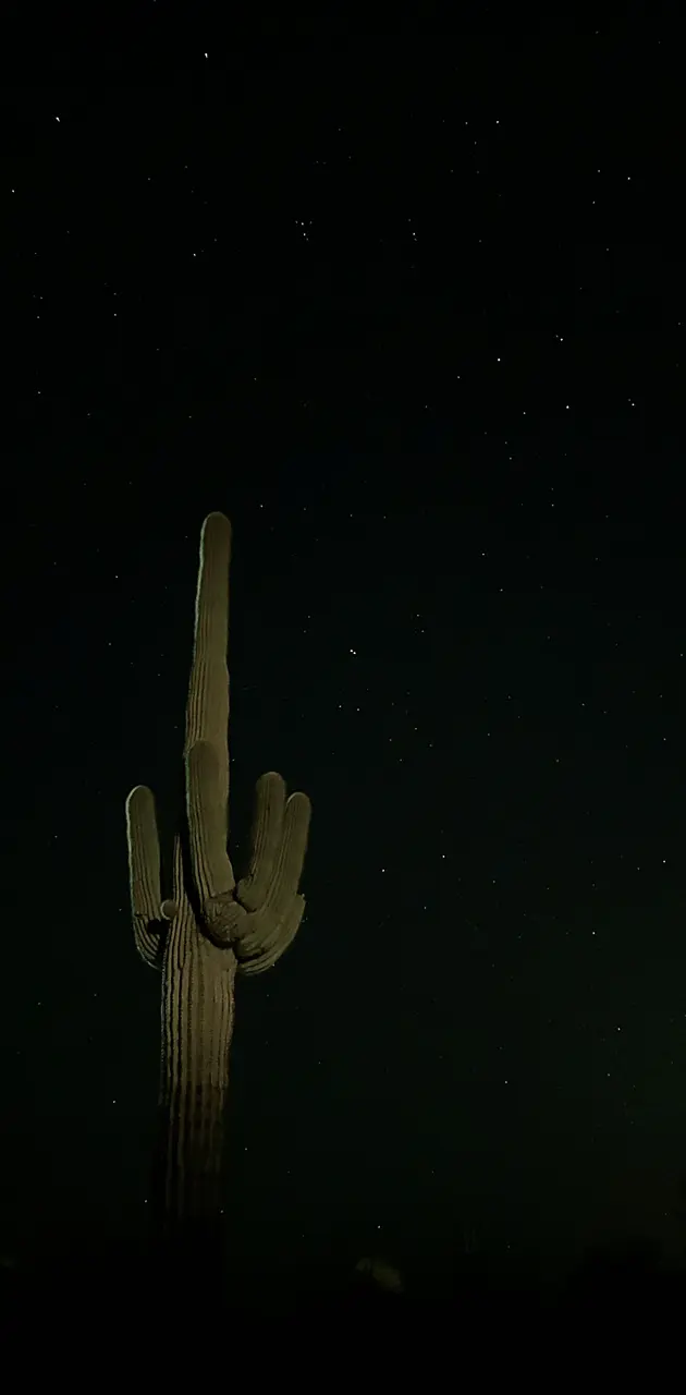 Arizona night