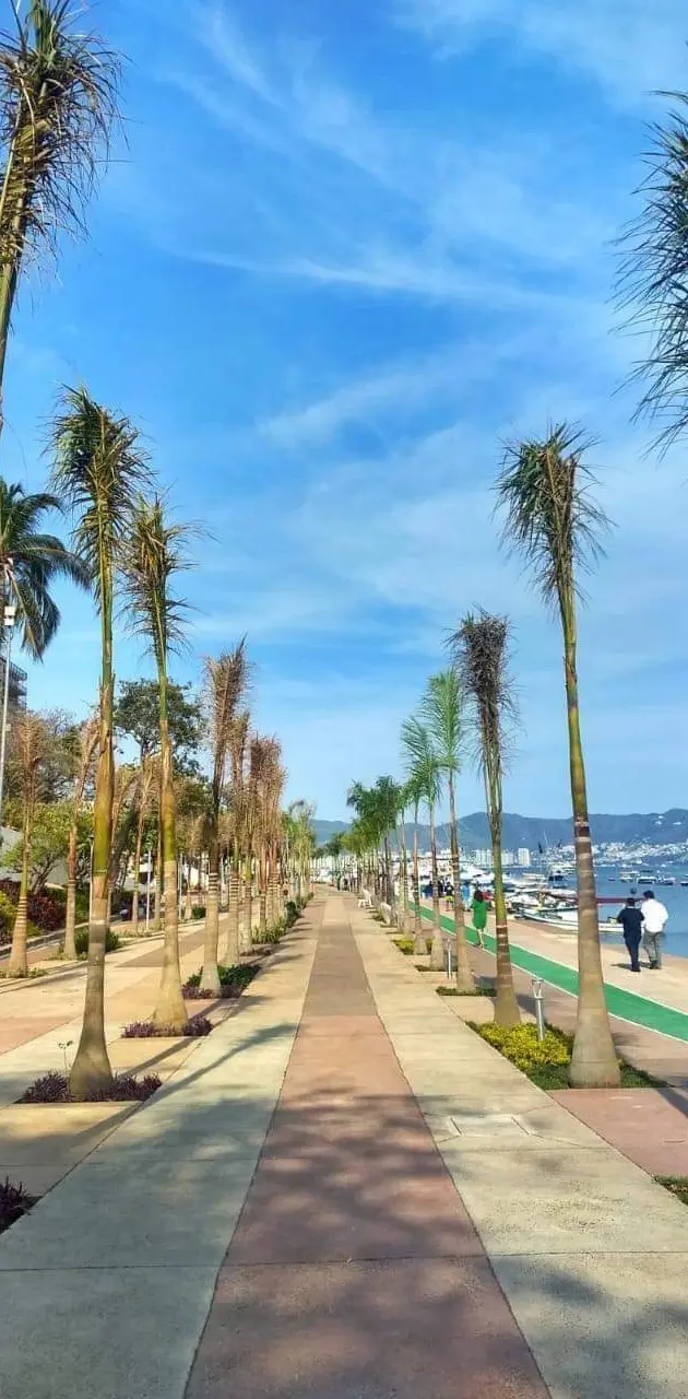 Acapulco Costera