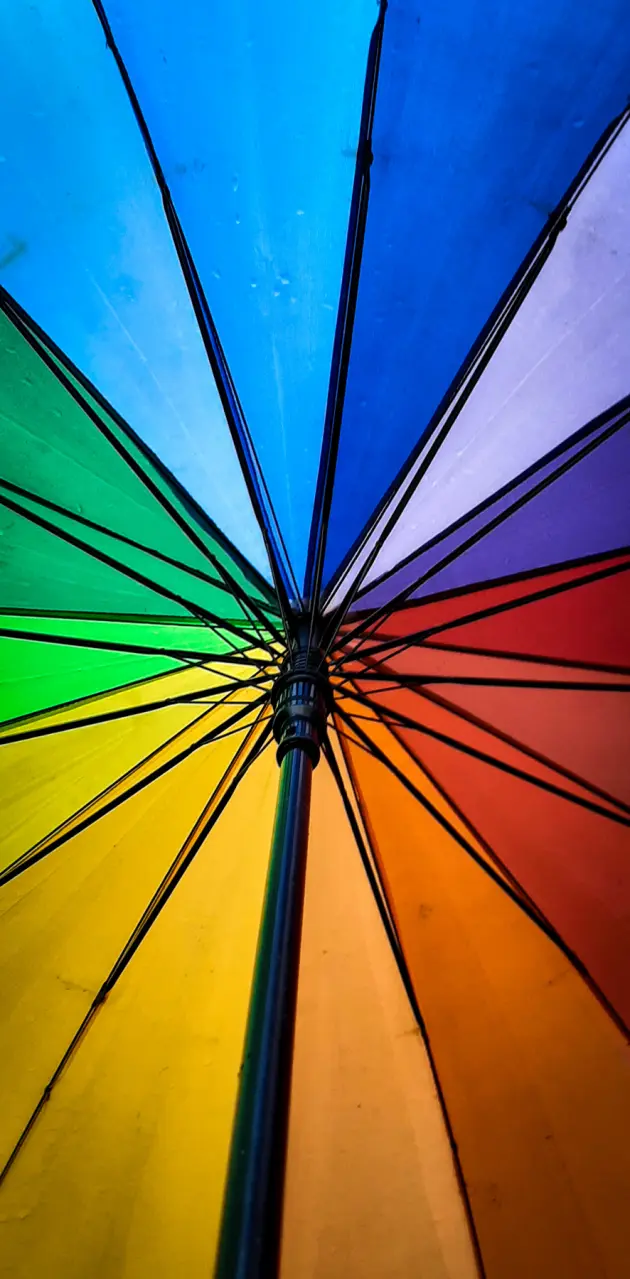 Vibrant umbrella