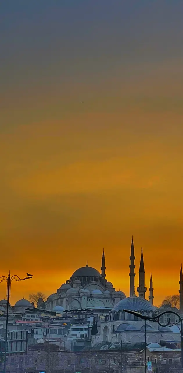 Beautiful Mosque 
