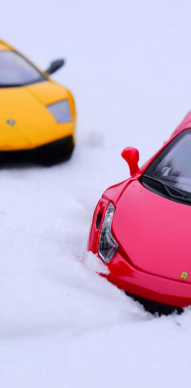 Supercars in Snow