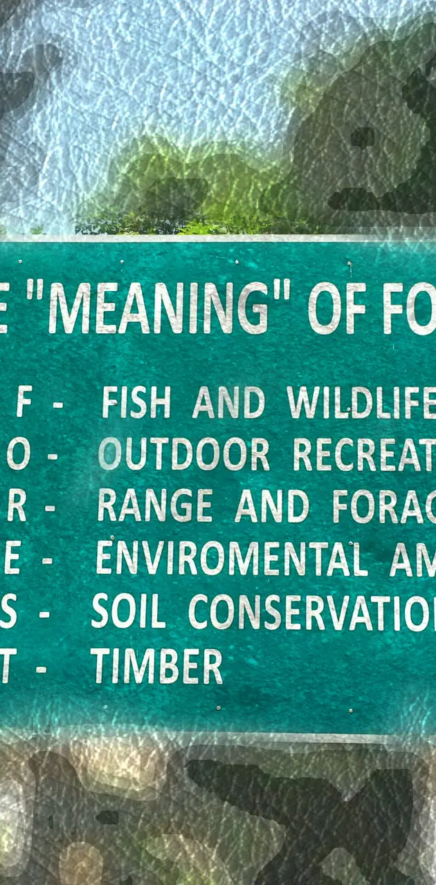 Meaning of forest