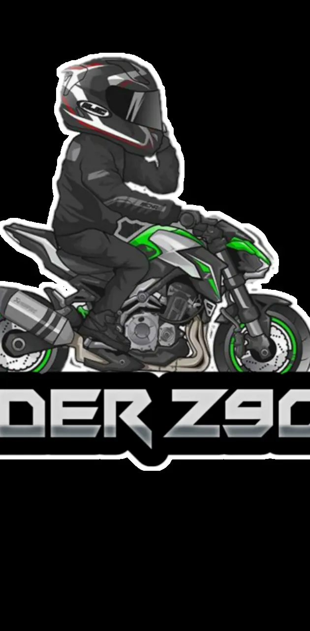 Rider z900 