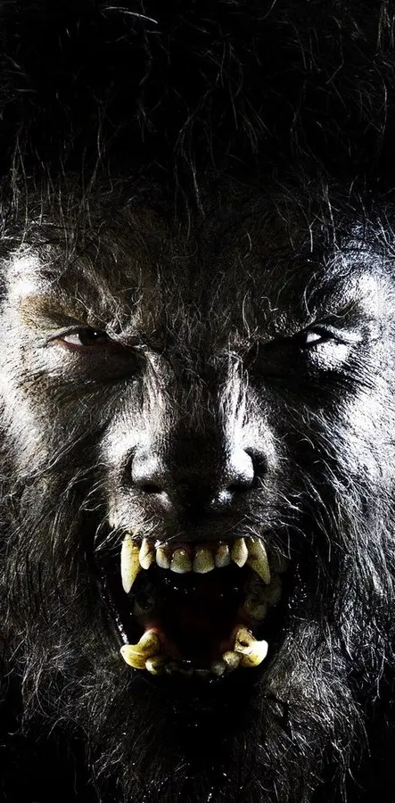 Evil Werewolf