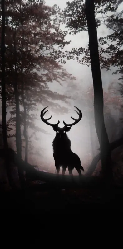 Deer in dark forest