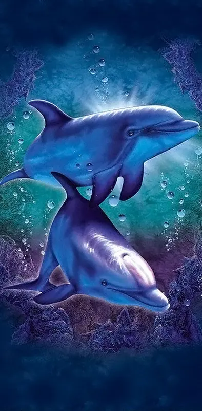 Coral Reef Dolphins