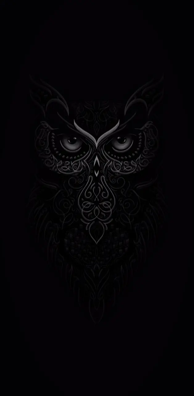 Black owl