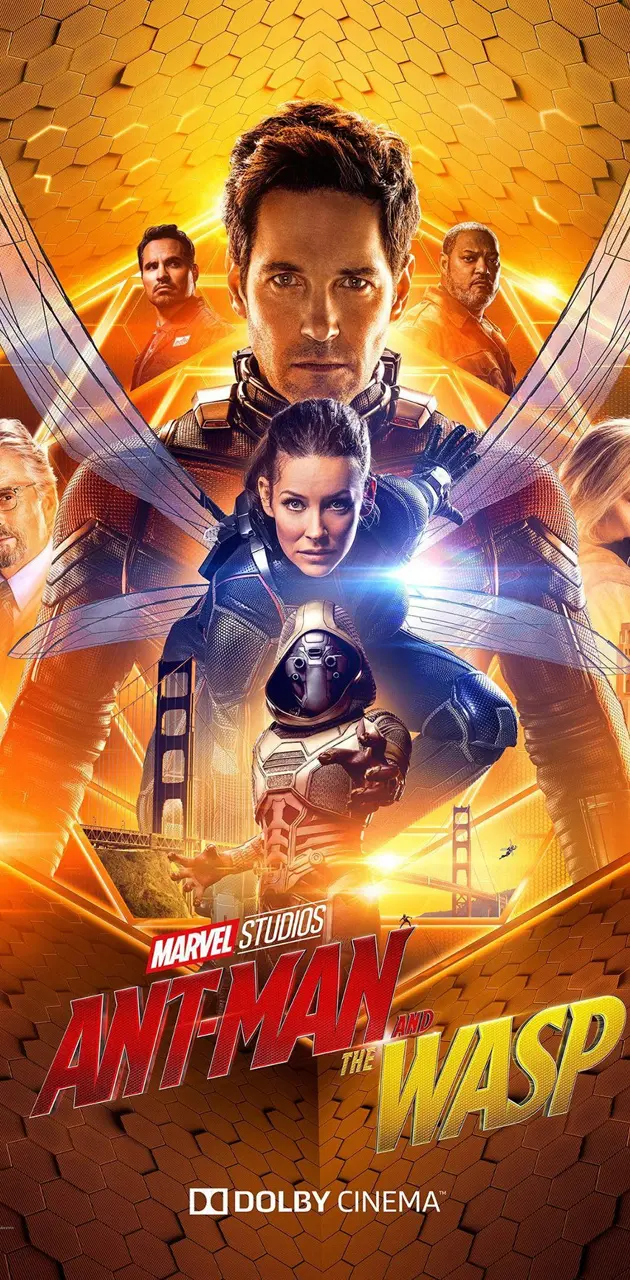 Antman and the wasp