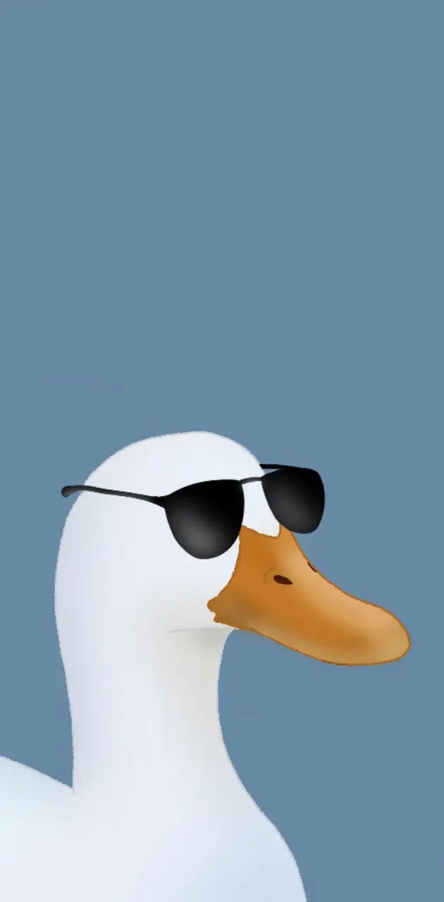 Duck with sunglasses