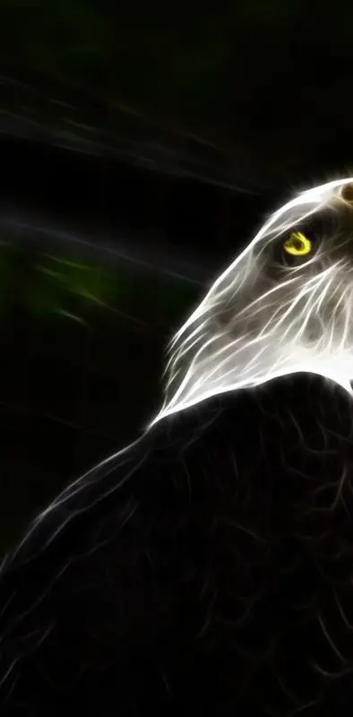 Angry Eagle