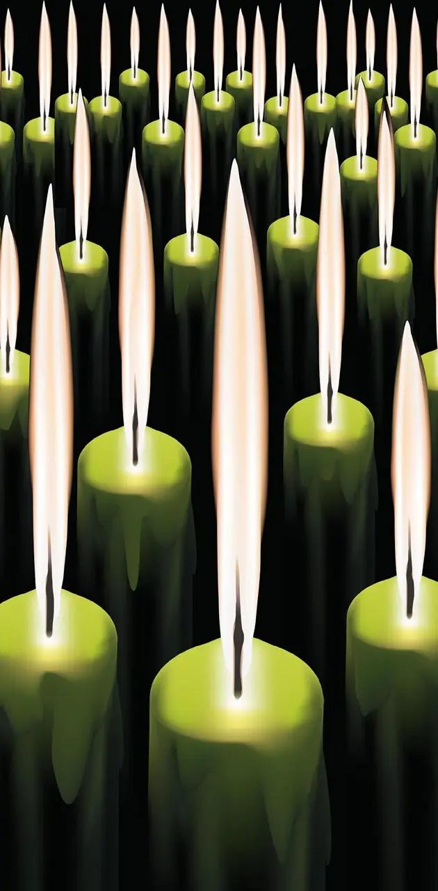 Wax candles
