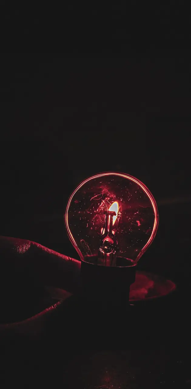 Backlit Lightbulb