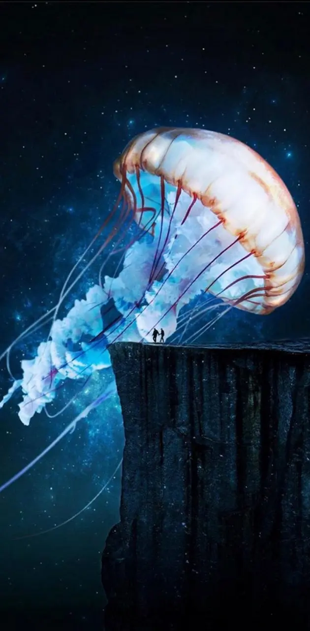 Scenic jellyfish