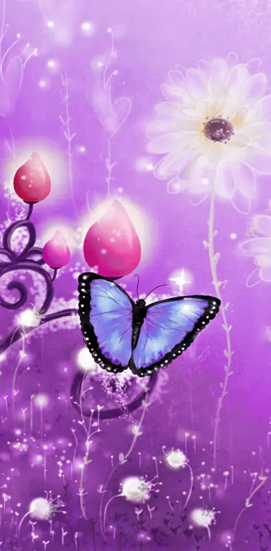violet butterfly