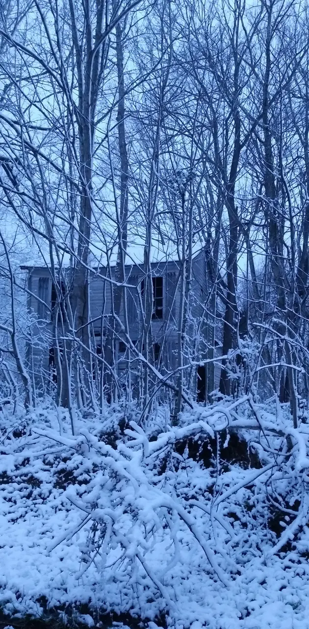 Snowy abandon house