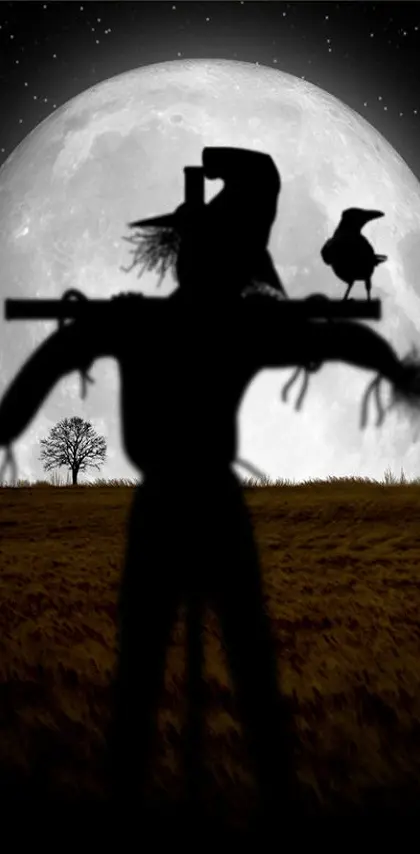 Scarecrow In Moonlig