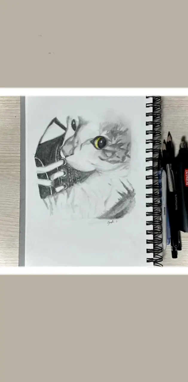 Hyunjins cat drawing