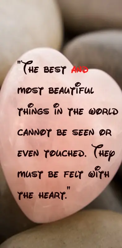 The Beautiful Thing