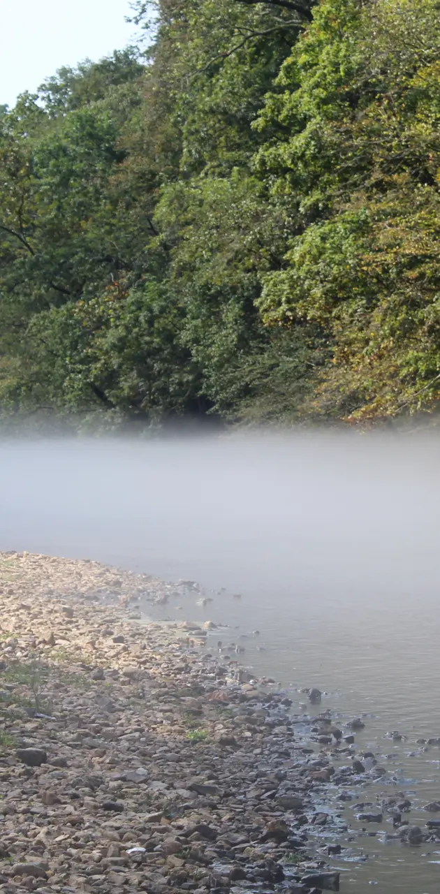 Fog on Water