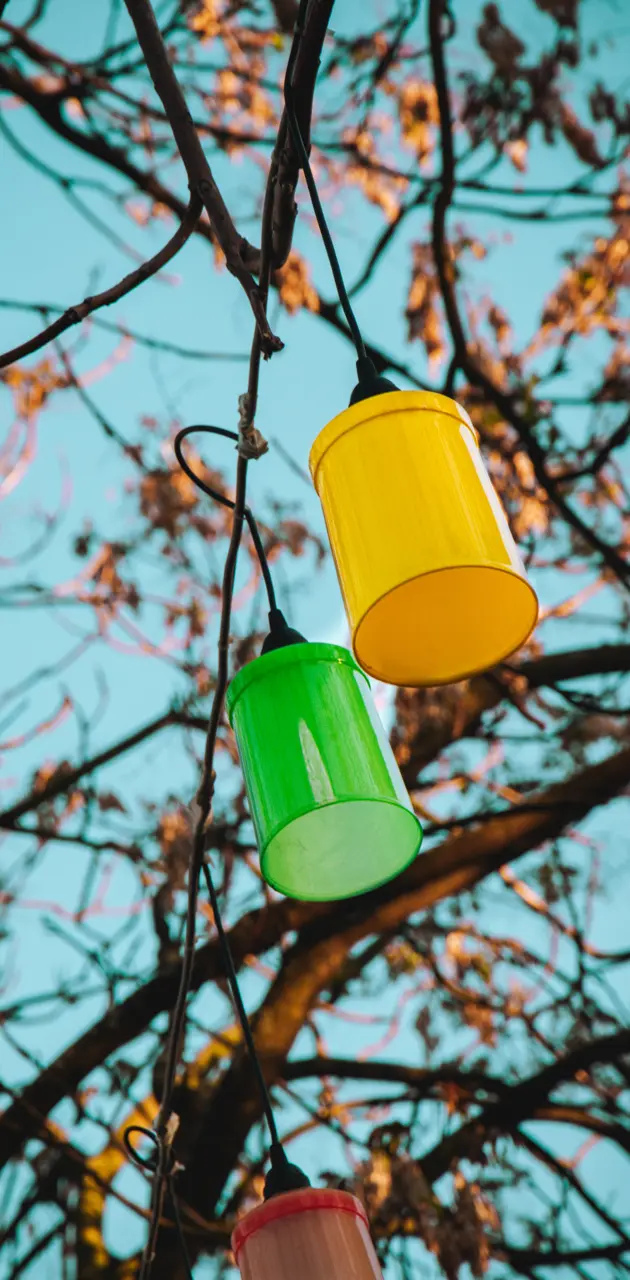 Outdoor Lanterns 2