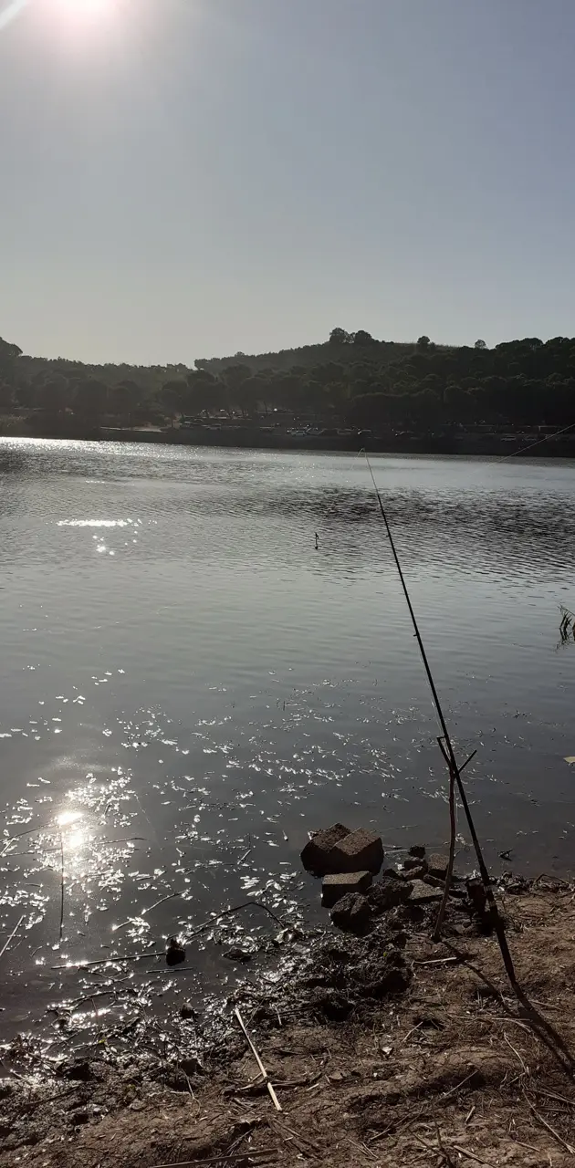 Fishing Rod Photo