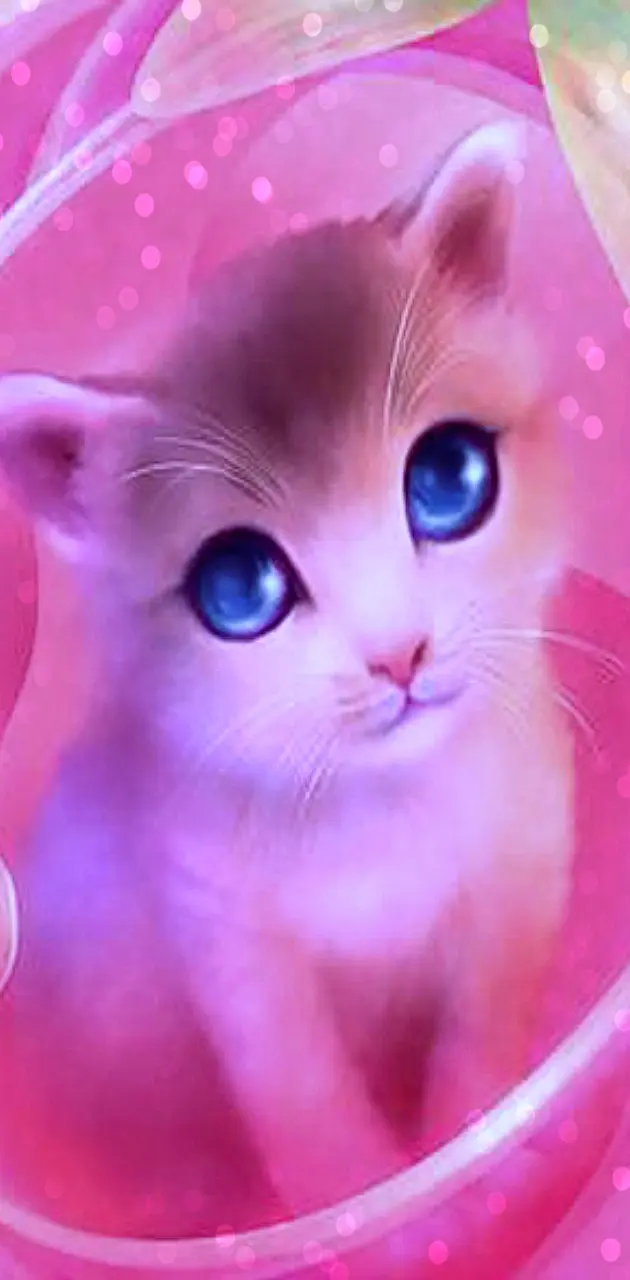 Luxury kitty wallpaper by YeetQueen17 - Download on ZEDGE™