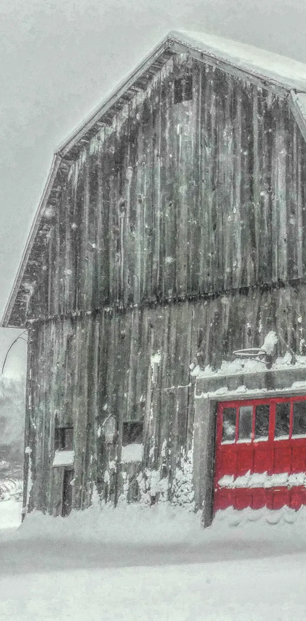 Snowy barns