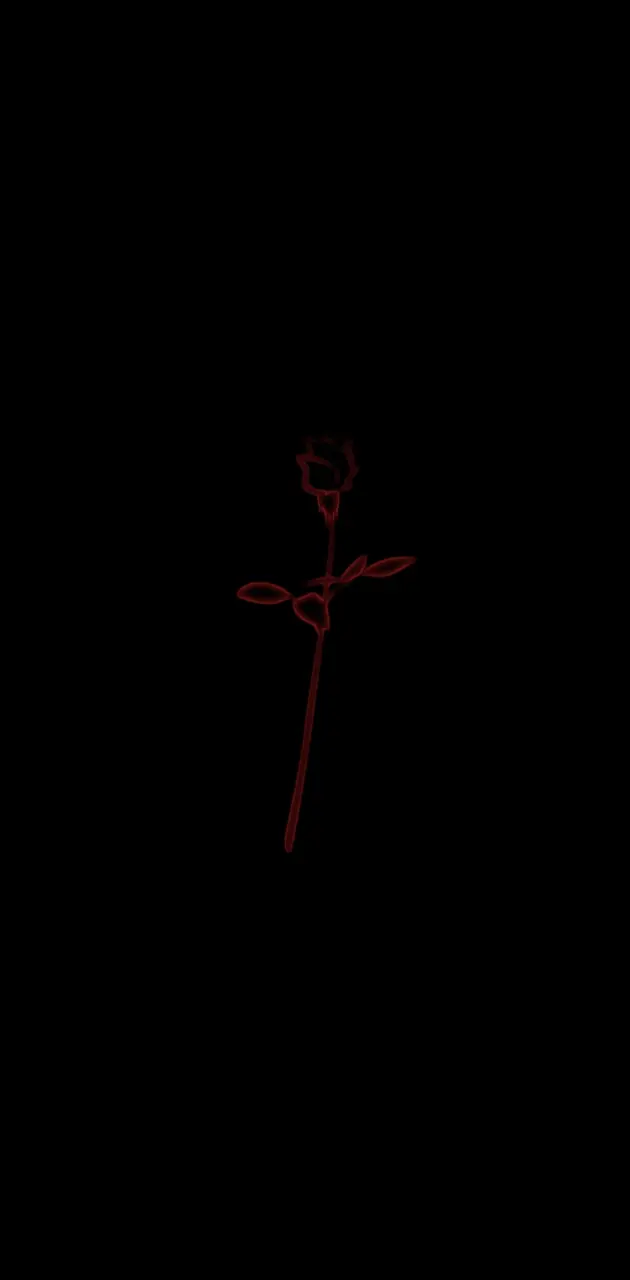 Dark Rose 