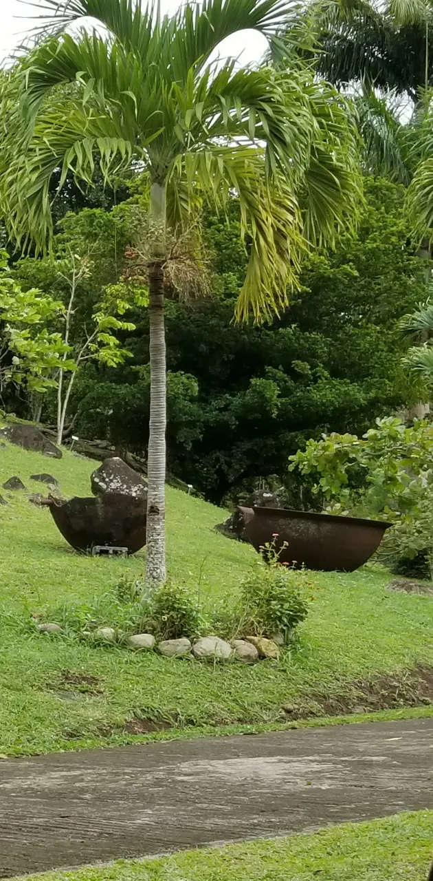 Grenada estate