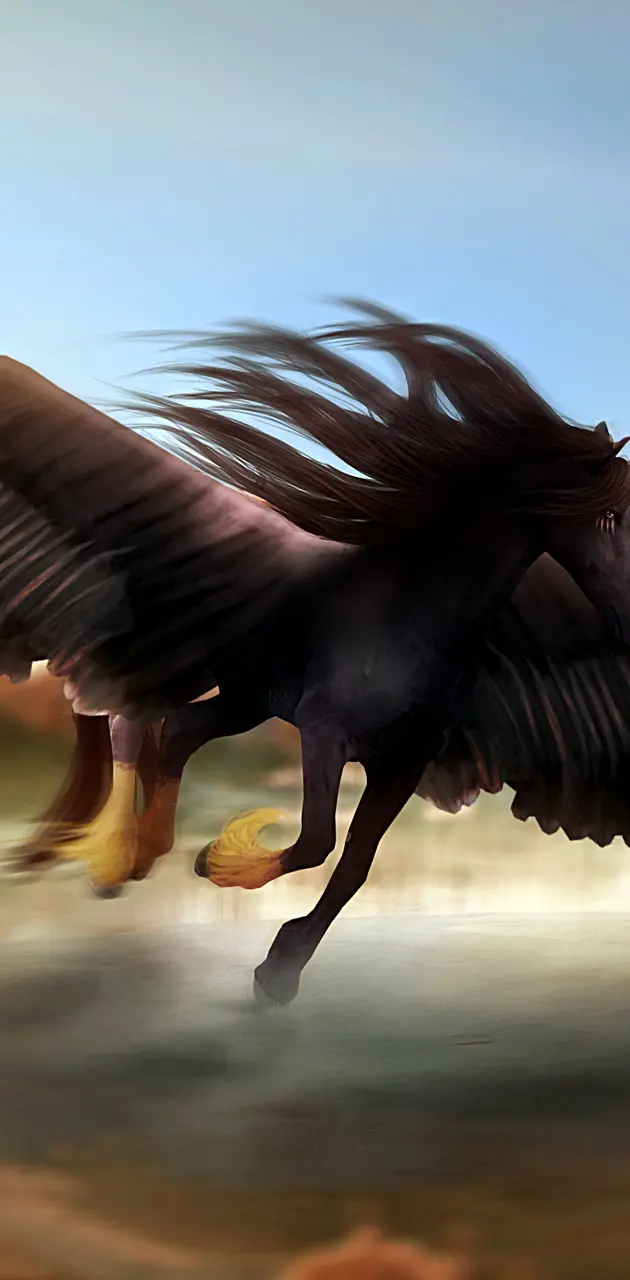 Horse With Wings