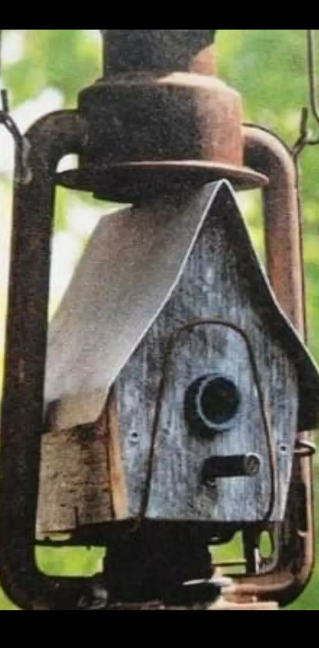 Rustic birdhouse