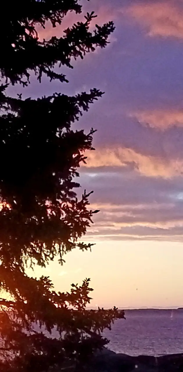 Purple sunrise