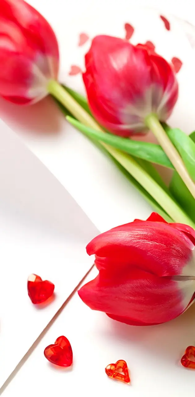 Love Tulips