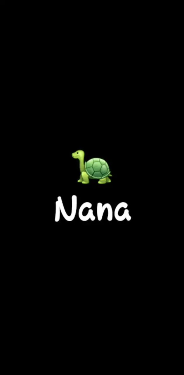 Turtle Nana