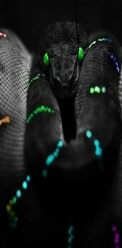 Colour Snake