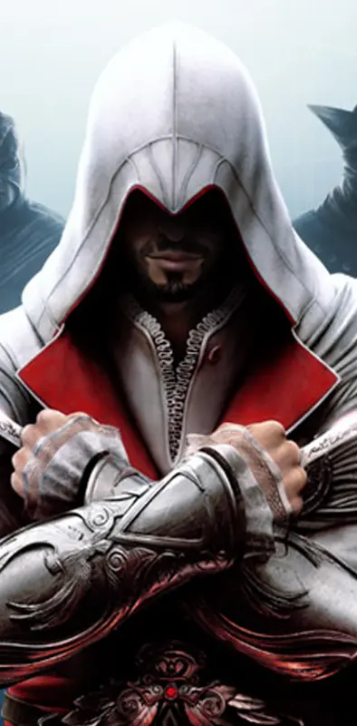 Assassins Creed Bro