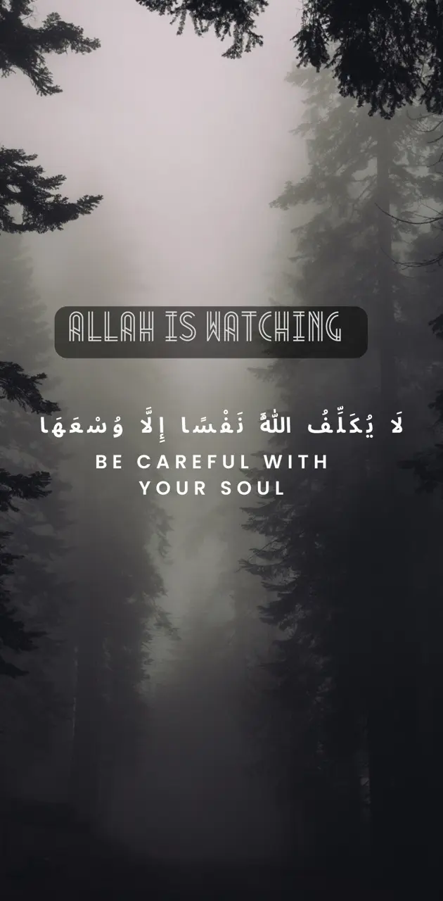 Allah watching 