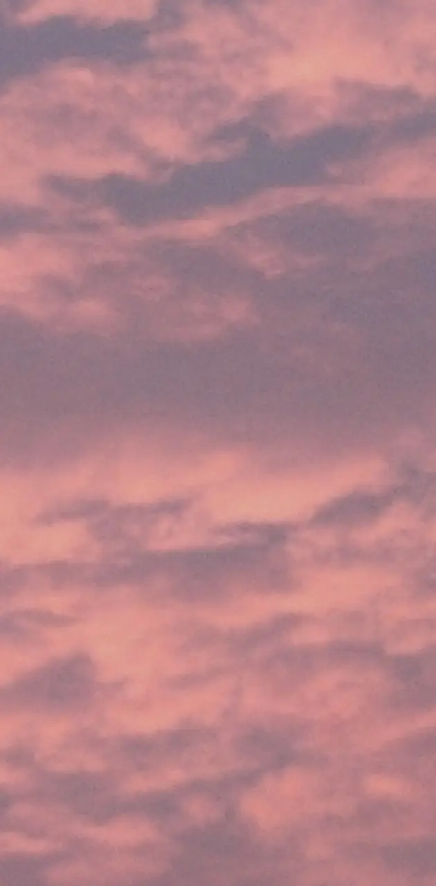 Pink Clouds Sky