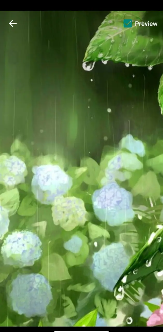 Anime Flower Rain 6
