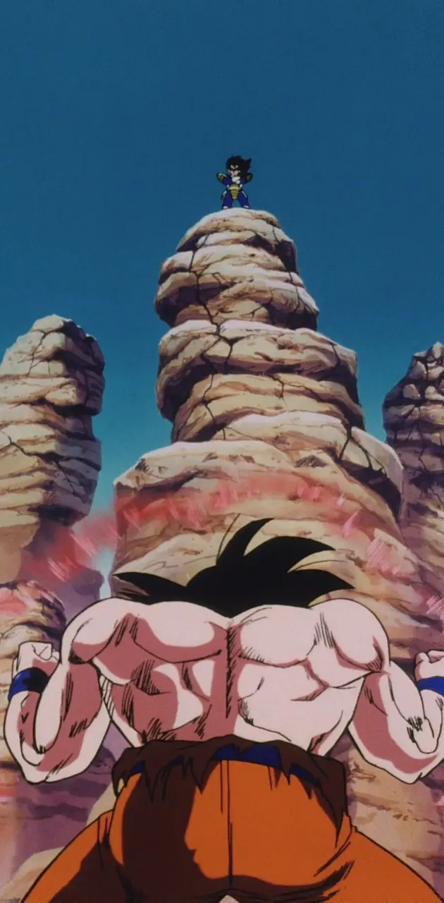 Goku vs vegeta DBZ