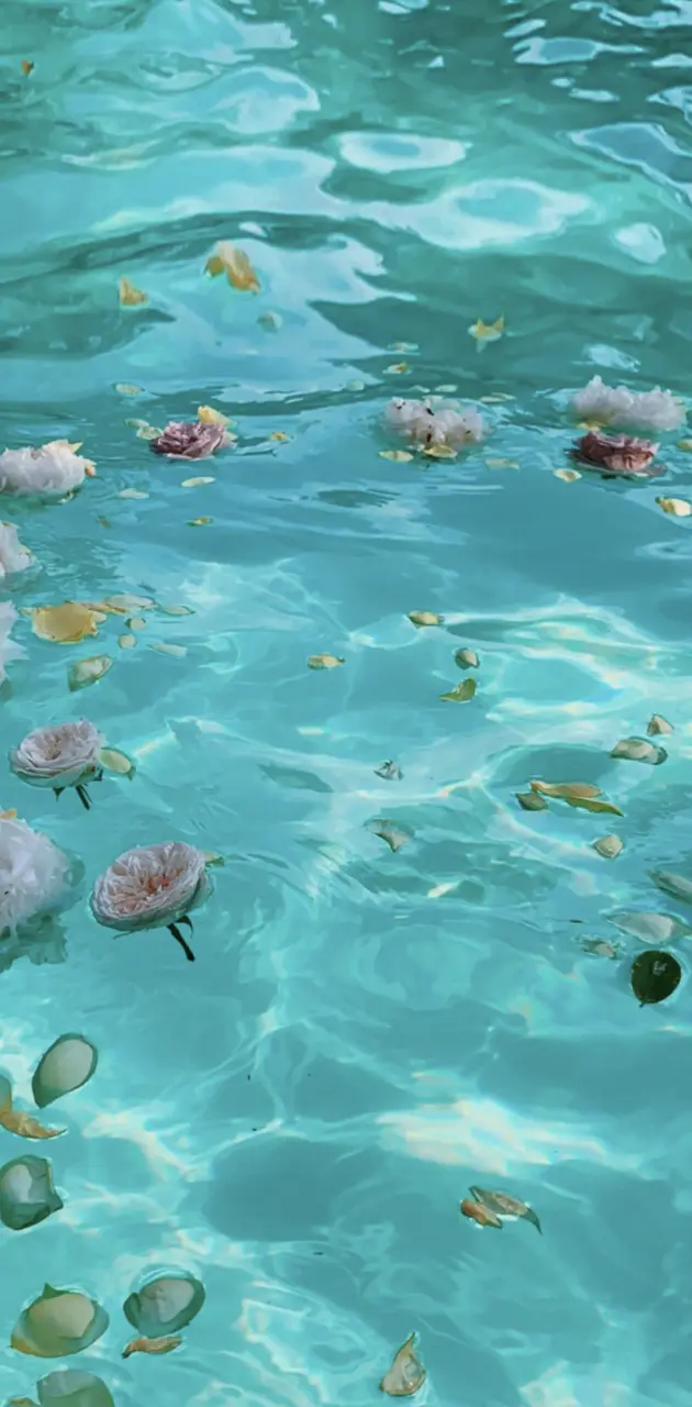 Water flowers 