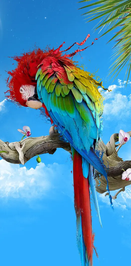 Abstract Parrot Hd