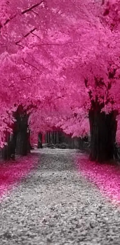 Pink Blossom Forest