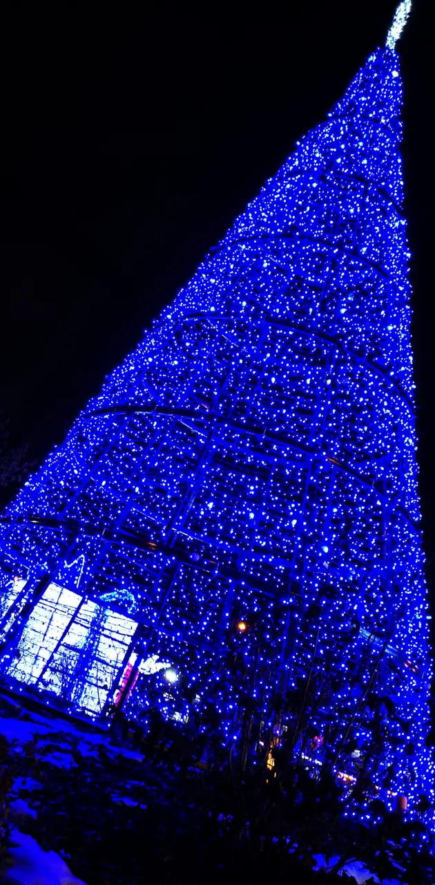 Christmastree lights